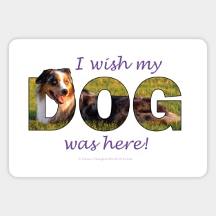 I wish my dog was here - Australian Shepherd Collie oil painting word art Magnet